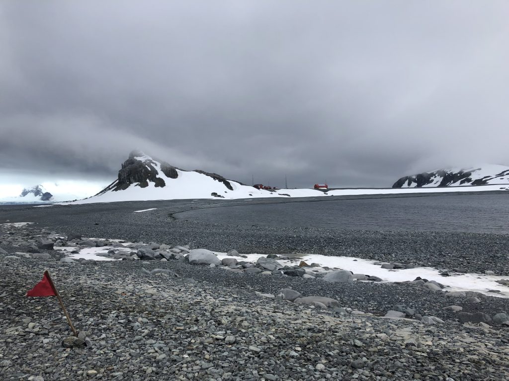 よりもい聖地 南極の旅 34 アゴヒゲペンギンとナンキョクアザラシの島 ハーフムーン島 ろじっくぱらだいす Logic Paradise