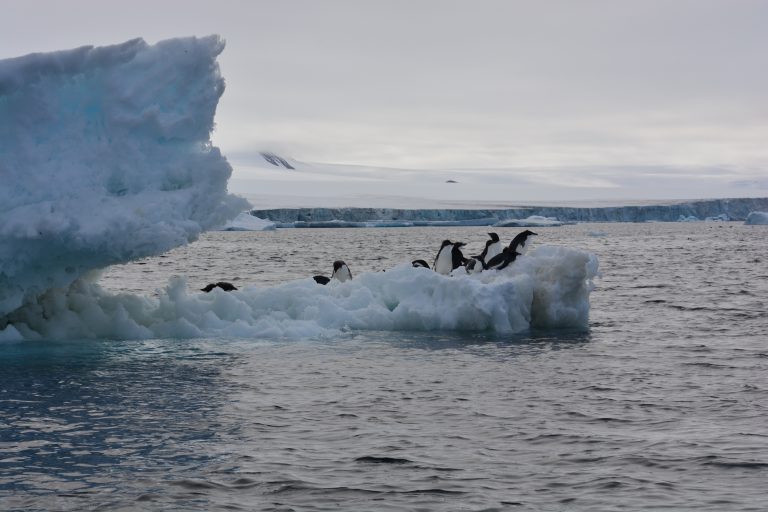 よりもい聖地巡礼(南極) ろじっくぱらだいす(Logic Paradise)