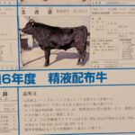 Thumbnail of related posts 027